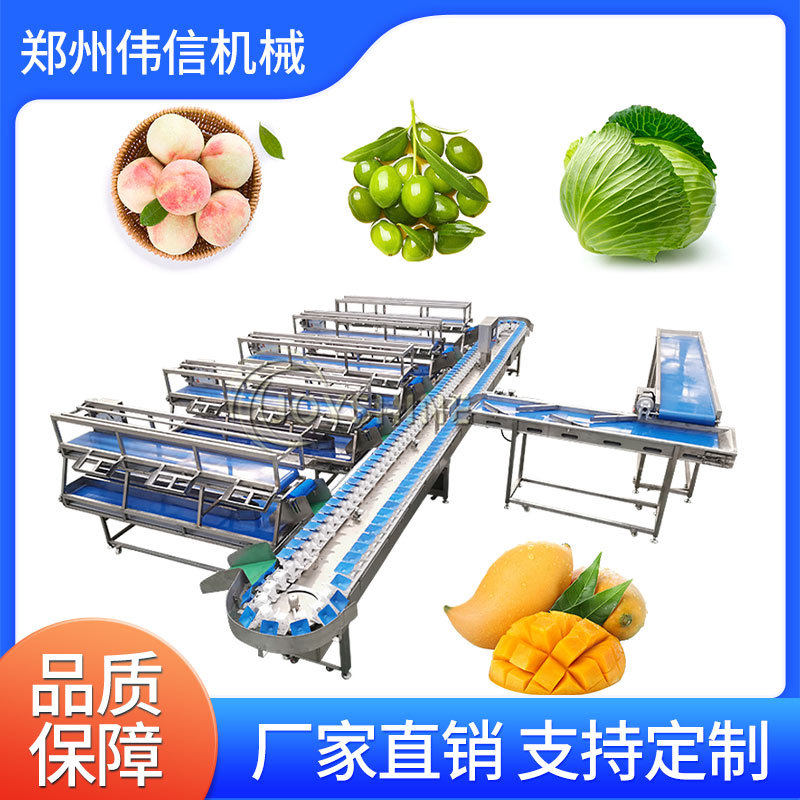 全自动水果选果机 果蔬海鲜称重分选机,清洗/食品/商业设备,选果机/分选机,淘宝优惠券,粉丝福利购,淘宝优惠卷