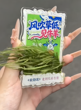 风吹草地见牛来冰箱贴牛来电影周边抽象搞笑家居磁吸装饰亚克力贴