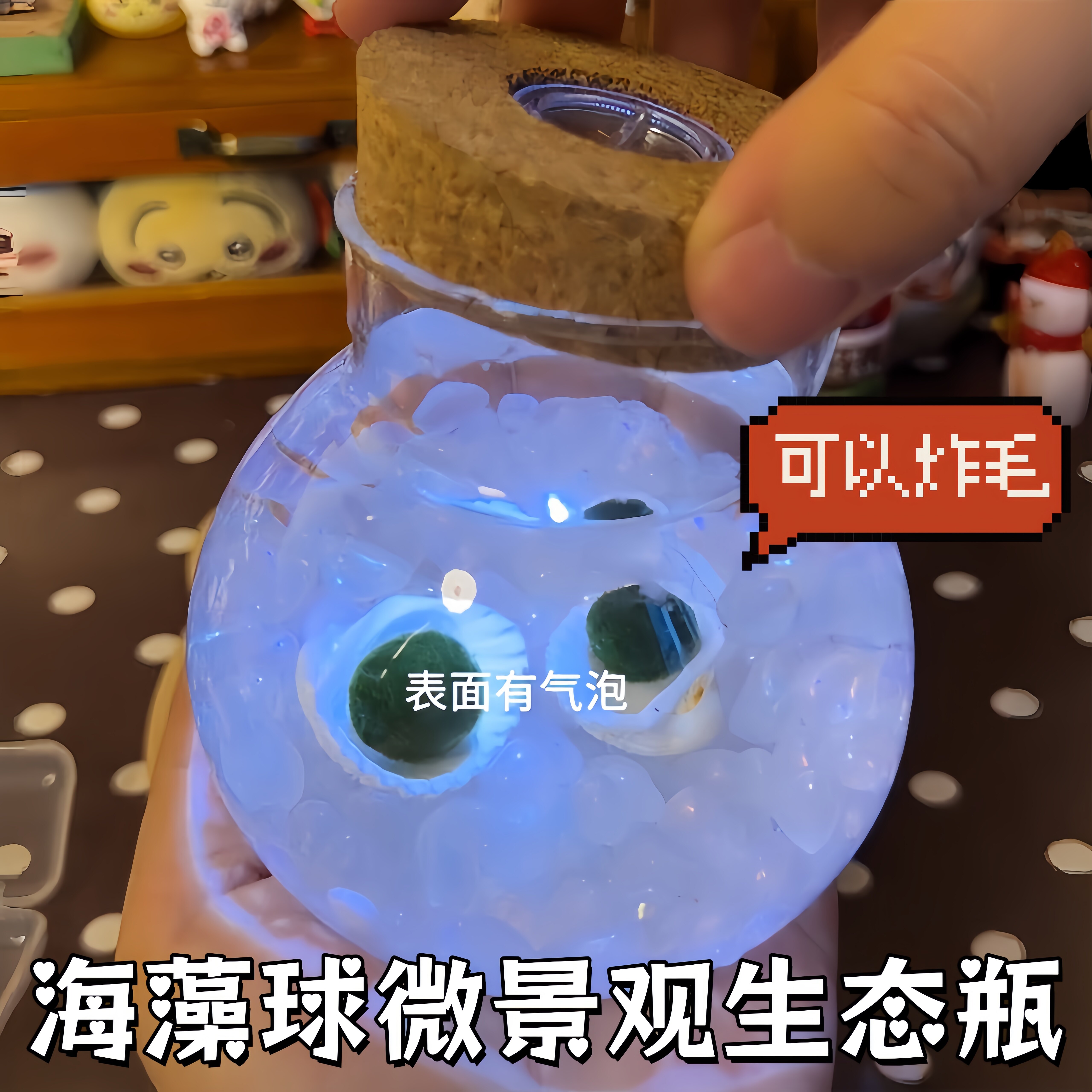 幸福海藻球微景观生态瓶玻璃瓶创意水培绿植好养活学校办公室摆件