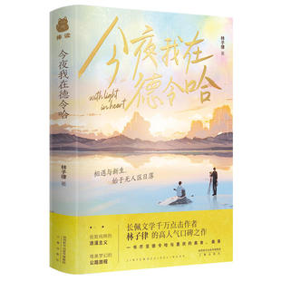 【官方正版】今夜我在德令哈林子律著现代青春双男主纯爱治愈小说