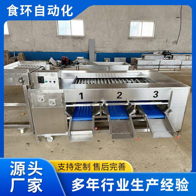 滚杠式小龙虾分级机土豆洋葱果蔬分选机不锈钢红薯分选机厂家
