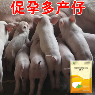 猪牛羊速孕母猪高产多产下崽多快速打栏配种母畜发情速配速孕