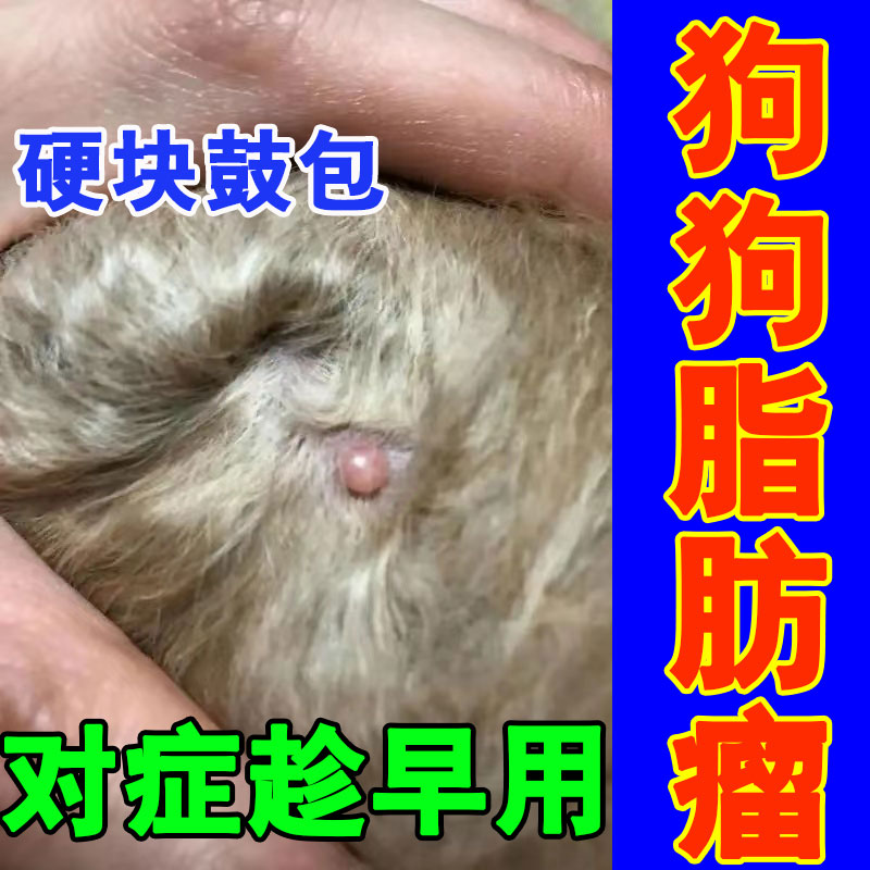 狗狗脂肪瘤宠物身上长疙瘩