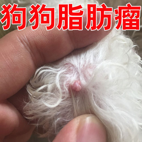 狗狗脂肪瘤身上长疙瘩消肉球喷剂