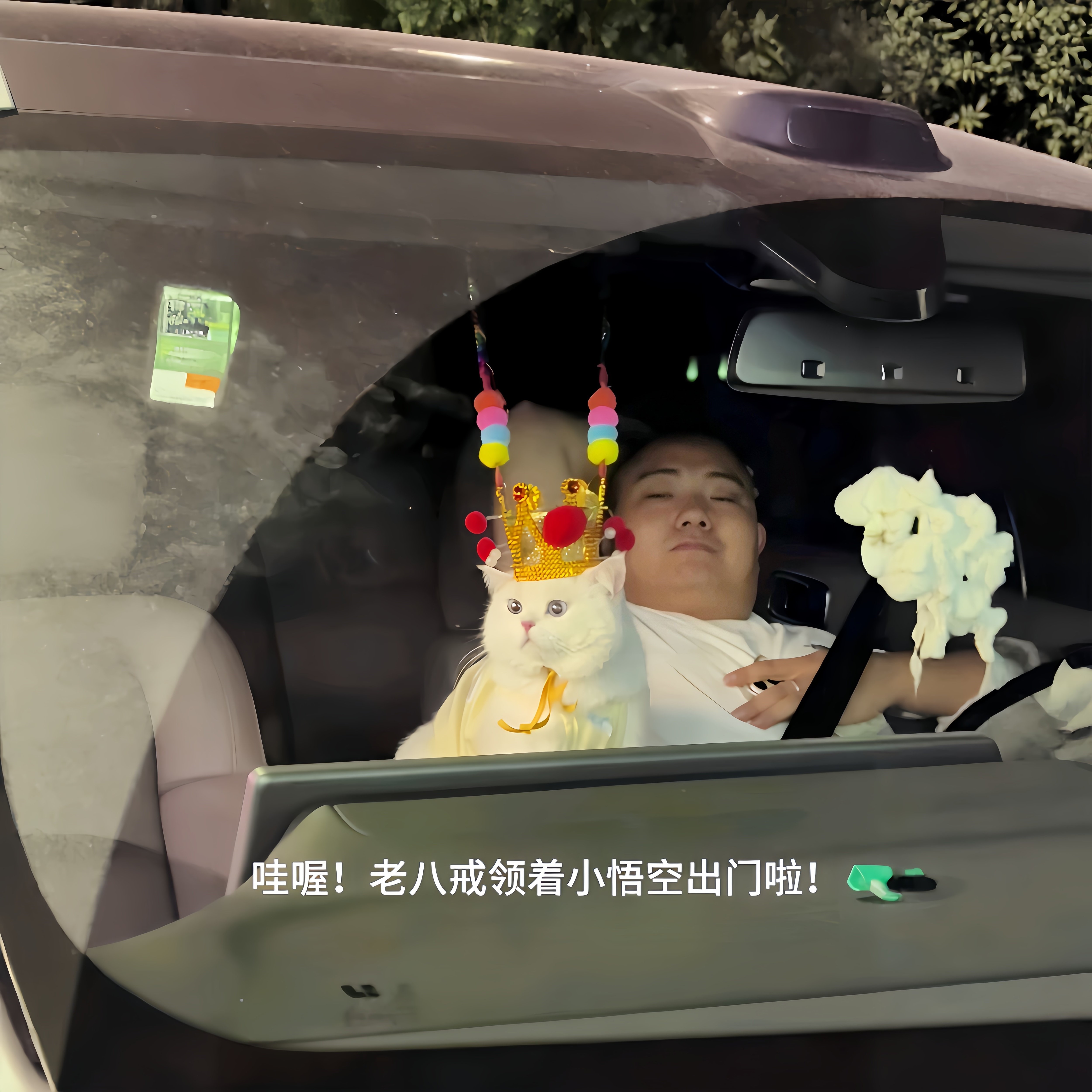 猫咪孙悟空紫金冠发光头箍