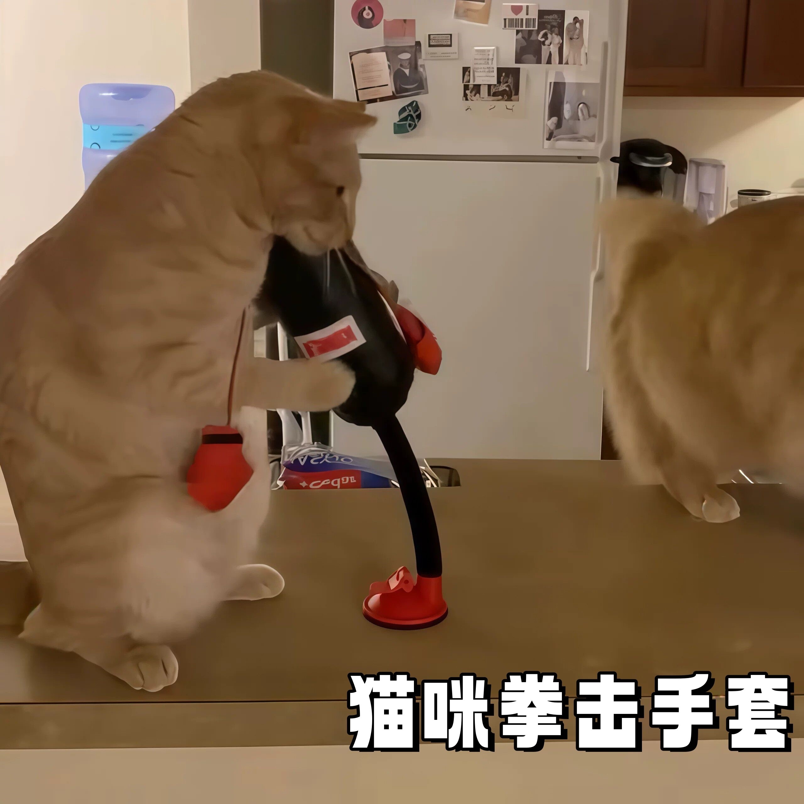 吸盘式拳击手套立柱逗猫棒自嗨