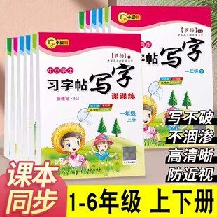 【正版包邮】小学生习字帖写字课课练一年级二年级三年级上册下册语文人教版课本同步临摹学习练习写字硬笔钢笔临摹书法罗扬字帖