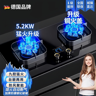 德国品牌燃气灶双灶家用腔煤气灶双灶头家用天燃气液化气台嵌两用