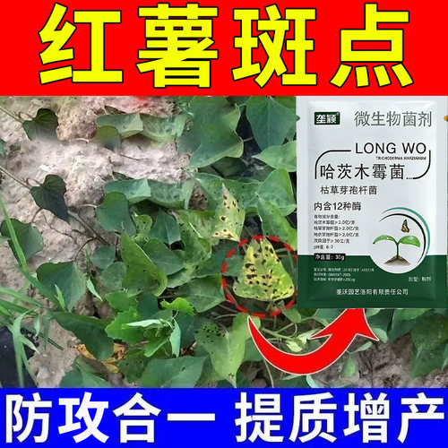 红薯防斑点黑斑家用肥料黑痣