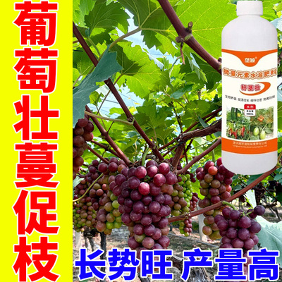 葡萄壮蔓强枝营养液控旺防徒长主干粗壮挂果多抗病提质控旺专用肥