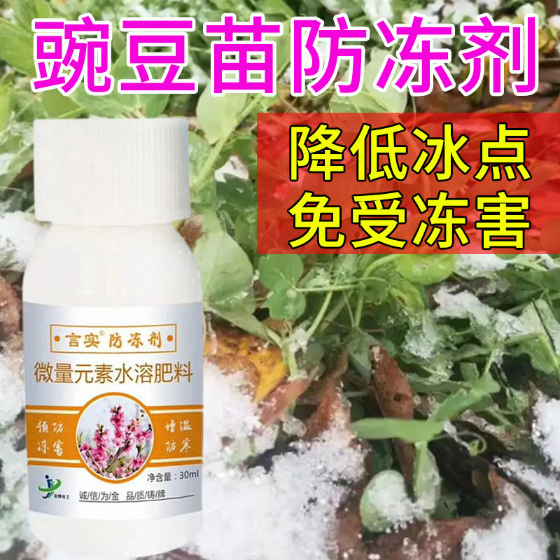 豌豆苗防冻喷雾植物防冻剂叶面肥豌豆苗防霜冻保花保果抗寒解冻害