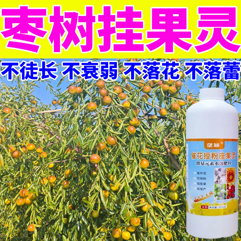 枣树座果王】开花不坐果花少果少落花落果畸形个小专用保花坐果灵