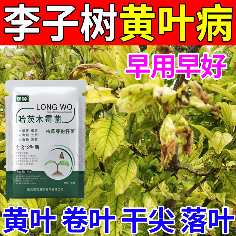 李子树黄叶病专用肥料卷叶病枯萎病烂根病流胶穿孔病菌清水溶肥料