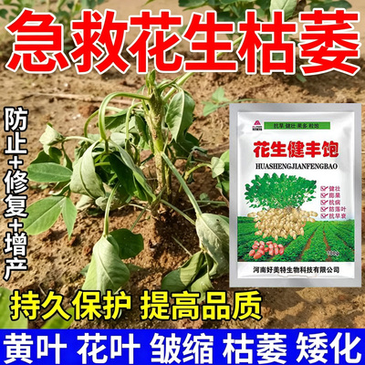 急救花生枯萎叶面肥叶子发黄脱落