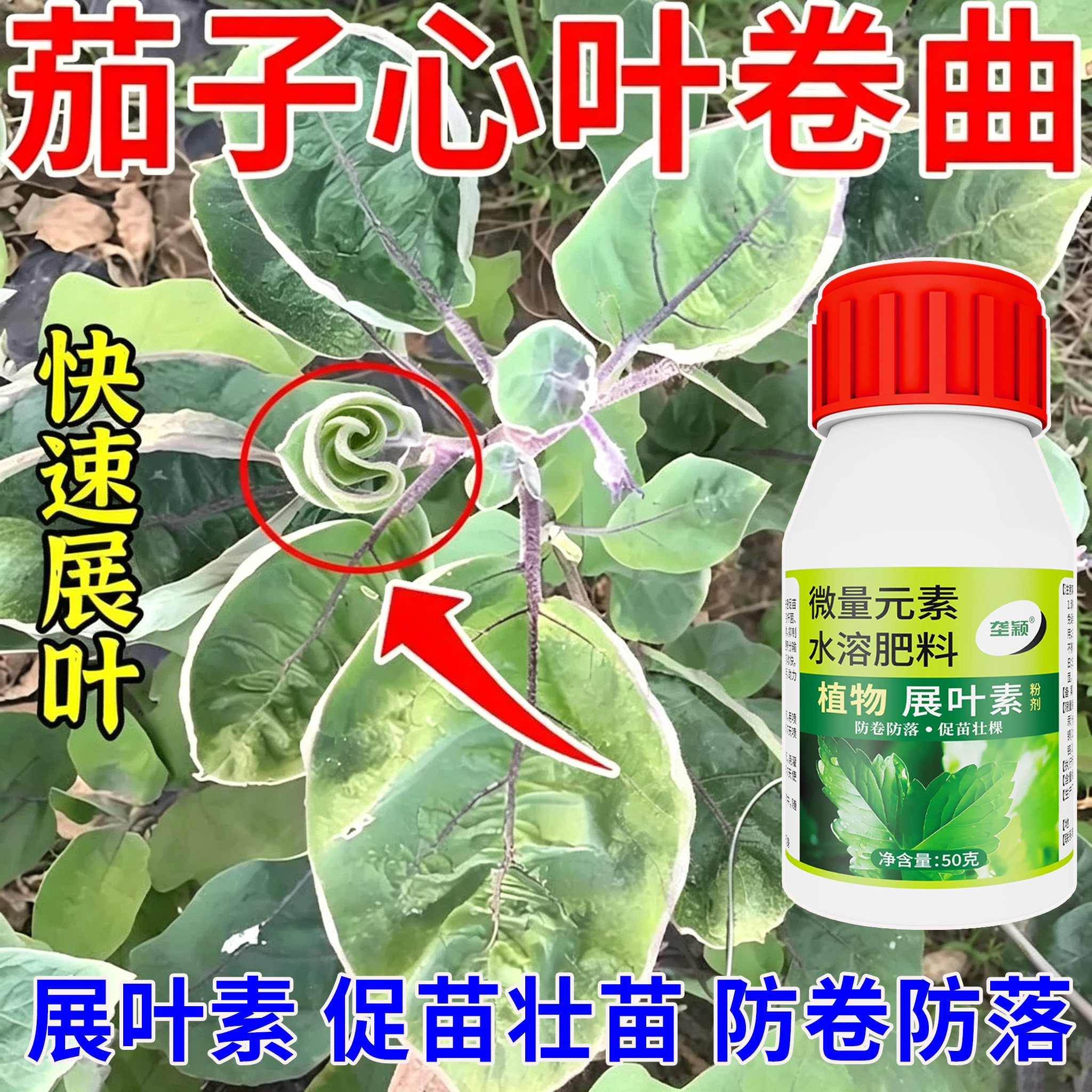 茄子心叶卷曲专用展叶素紫茄子卷叶黄叶缩叶修复快速展叶增产肥料