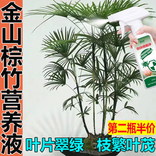 金山棕竹懒人通用营养液防黄叶枯萎干尖促生长强根免稀释液体肥料