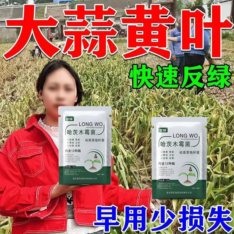 大蒜黄叶病肥料蒜苗病通用黄叶干尖锈病紫斑病霜霉病抗重茬叶面肥