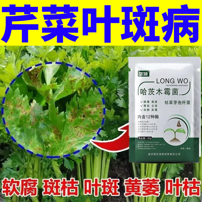芹菜叶片枯黄长斑芹菜叶斑病专用修复剂芹菜病害通用叶面肥正品
