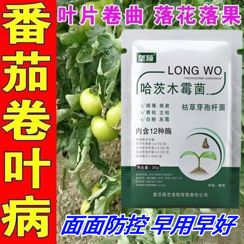 番茄卷叶病专用肥料西红柿卷叶黄叶腐烂防止菌剂白粉微生物菌剂肥
