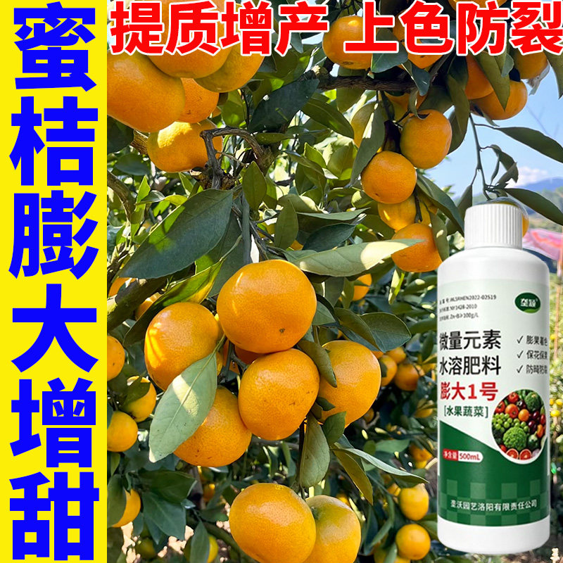 南丰由良蜜橘膨果增甜肥果子偏小大小果防裂果减少浮皮防雨季落果