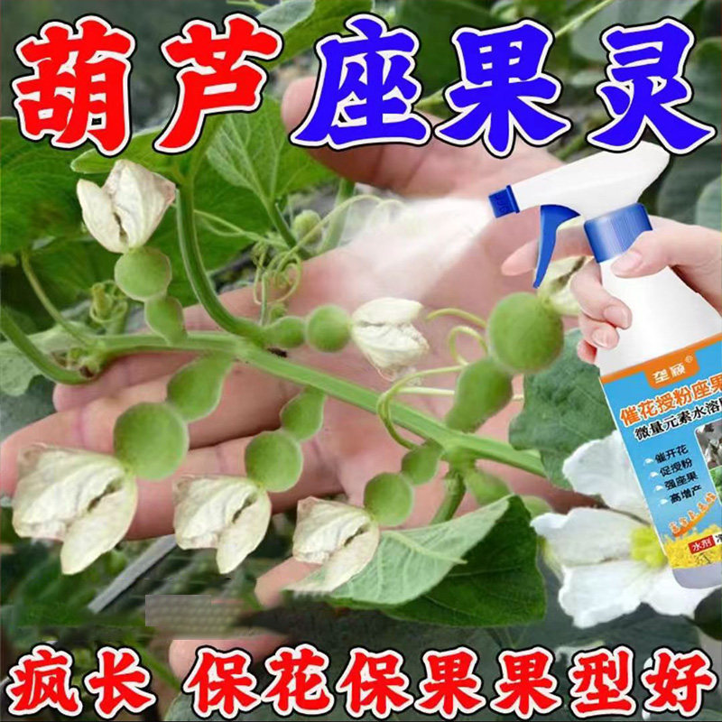 葫芦授粉剂坐果灵保花增加坐果免点花神器防落果裂果畸形提高品相