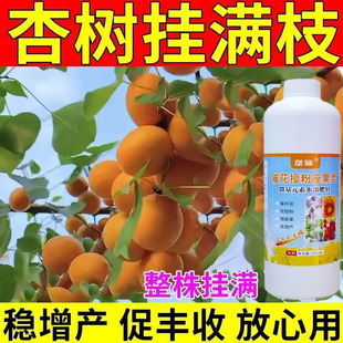 杏树授粉座果精【免沾花】杏子通用催花授粉花芽分化强坐果叶面肥