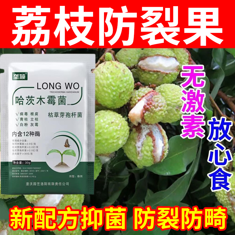 荔枝下雨裂果抑菌专用微生物菌剂促花保花保果增甜防裂果叶面肥料