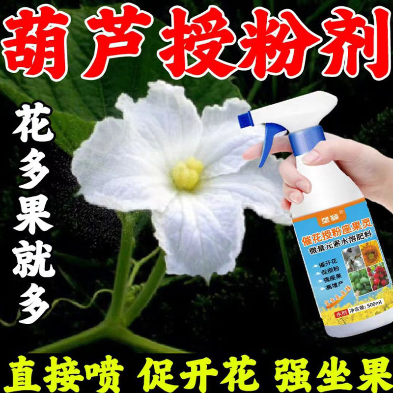 葫芦授粉神器免人工保花坐果花多果多防落果畸形葫芦歪扁落花落果
