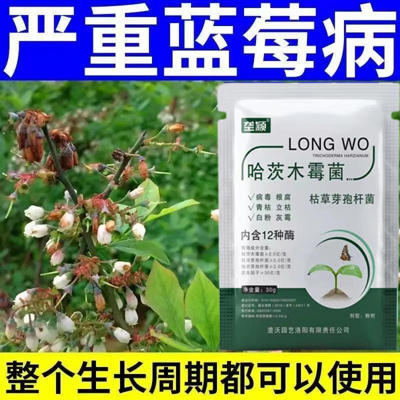 蓝莓病害专用肥料枯叶病红斑病焦尖干枯枯枝炭疽锈病落叶叶面肥料