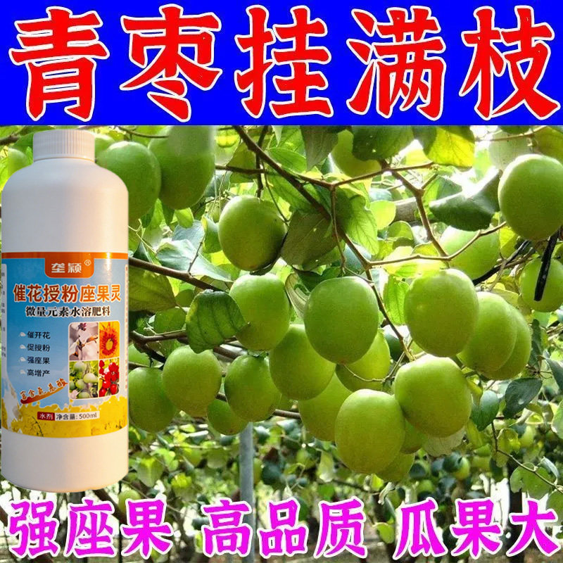 台湾青枣专用授粉坐果精大青枣保花保果催花叶面肥防三落提质增产
