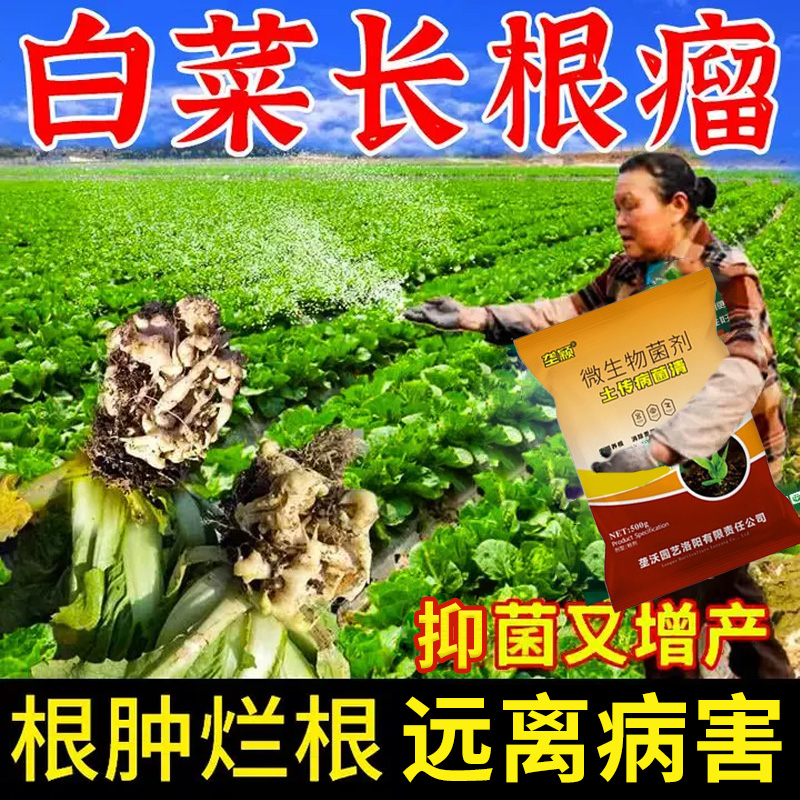 白菜根肿病专用肥料根部疙瘩溃烂烂根烂心炭疽根腐霜霉大头农用肥