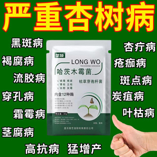 杏树病害急救肥料杏疔病疮痂病穿孔病褐腐病黑斑病斑点水溶叶面肥