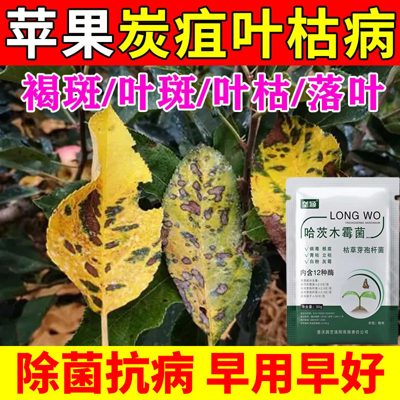 苹果炭疽病专用枯草芽孢杆菌除菌剂肥料褐斑叶斑叶枯炭疽急救肥料