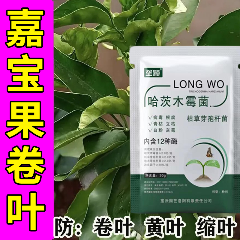 嘉宝果卷叶病叶子发黄皱缩叶面肥