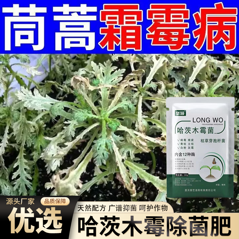 茼蒿霜霉病肥料哈茨木霉腐烂防控急救增菌炭疽霜霉急救营养水溶肥