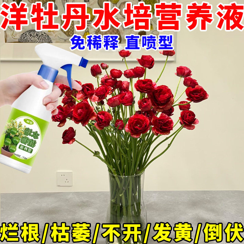 洋牡丹专用水培重瓣毛茛盆栽鲜花养护营养液四季通用免稀释懒人款