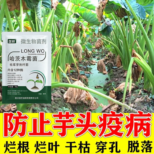 芋头疫病专用水溶肥叶片圆形病斑