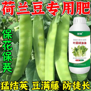 荷兰豆专用肥保花保荚促增长增绿猛长催生速长剂肥料绿叶促根叶厚