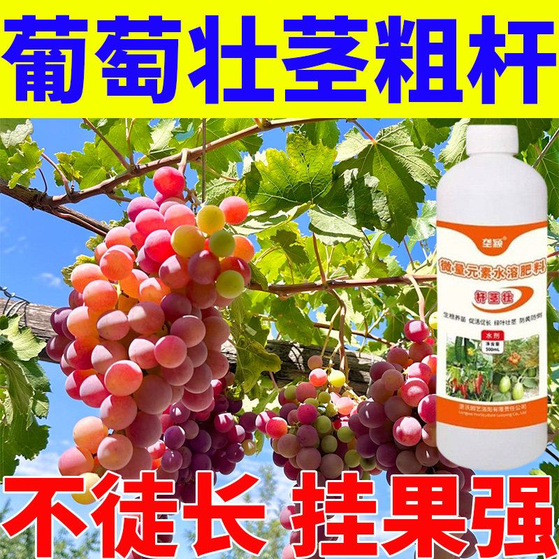 葡萄壮茎壮杆粗枝肥控旺不徒长枝蔓硬朗抗折促穗大上色增产专用肥