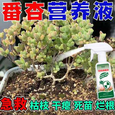 番杏专用营养液肥料多肉黄叶白粉软腐黑斑死苗烂根专用病菌清肥料