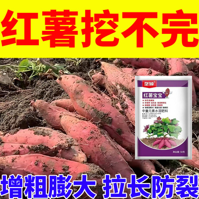 红薯挖不完】壮果增产增甜地下根茎膨大素控旺促根壮苗增粗拉长肥