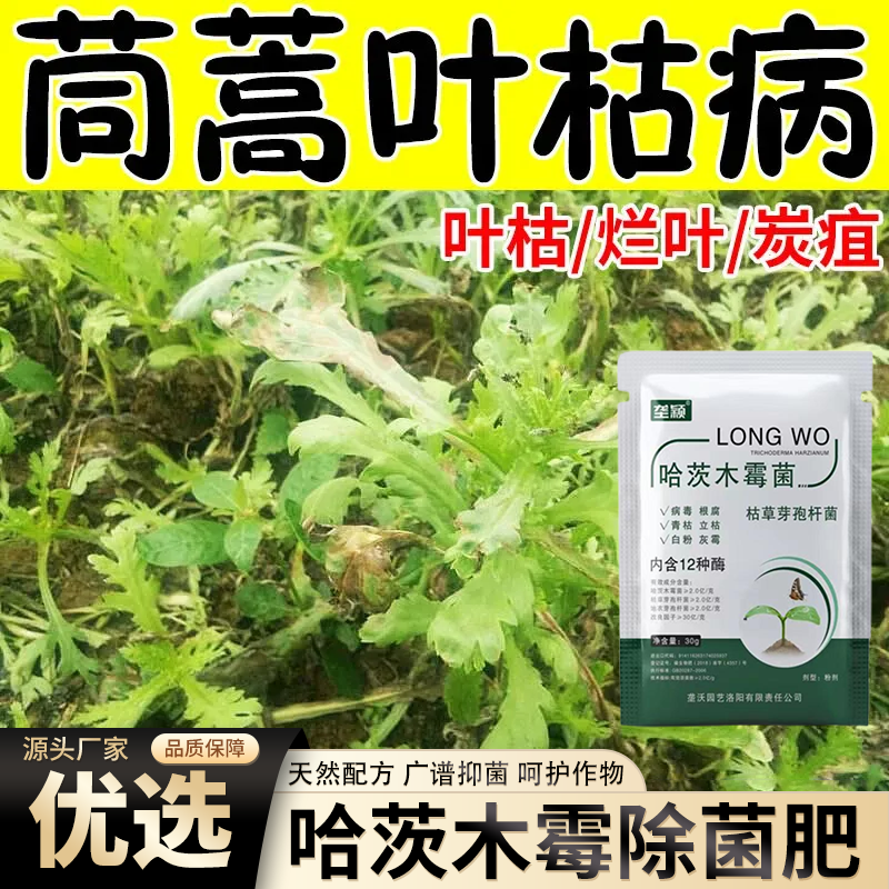 茼蒿叶枯病肥料哈茨木霉腐烂防控急救增菌炭疽霜霉叶枯营养水溶肥