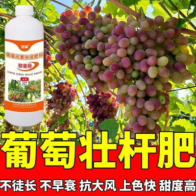 葡萄专用壮杆肥壮茎粗枝缩短节间枝蔓硬朗抗折膨果增甜增产上色肥
