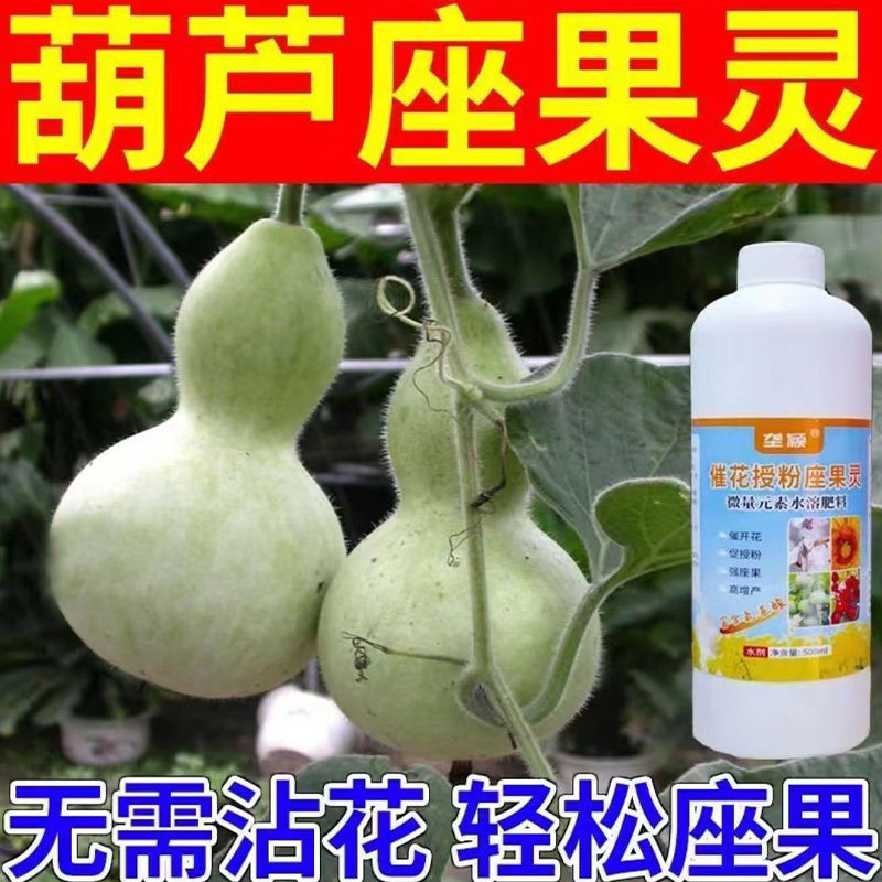 葫芦催花授粉坐果灵开花不结果小葫芦刚长就黄掉落掉畸形歪扁落花