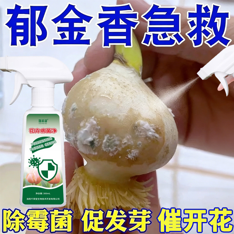 郁金香种球春化发霉腐烂专用营养液种球发霉处理剂防腐根烂茎死苗,鲜花速递/花卉仿真/绿植园艺,家庭园艺肥料,淘宝优惠券,粉丝福利购,淘宝优惠卷