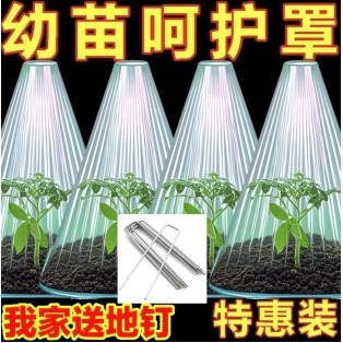 加厚重复使用方形植物钟罩大棚免受鸟类霜冻伤害绿色育苗保护罩