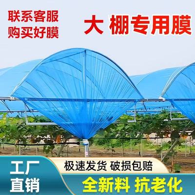 进口大棚膜蔬菜保温加厚无滴膜