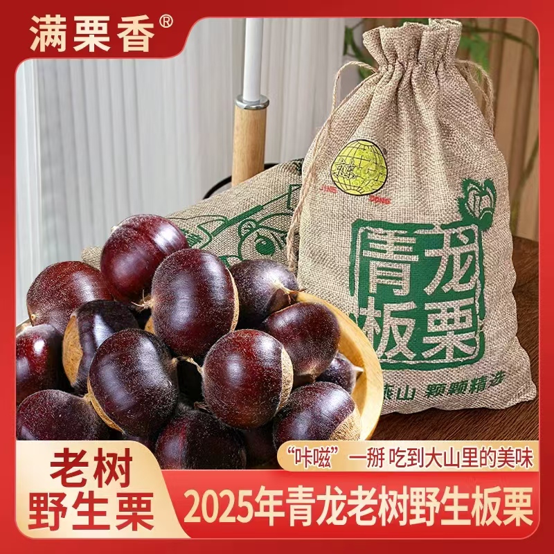 满栗香 2025年新鲜栗子青龙老树生板栗 河北特产5斤装 坚果零食