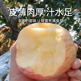 【数乡宝藏】山东烟台红富士苹果4.5斤苹果新鲜水果整箱a