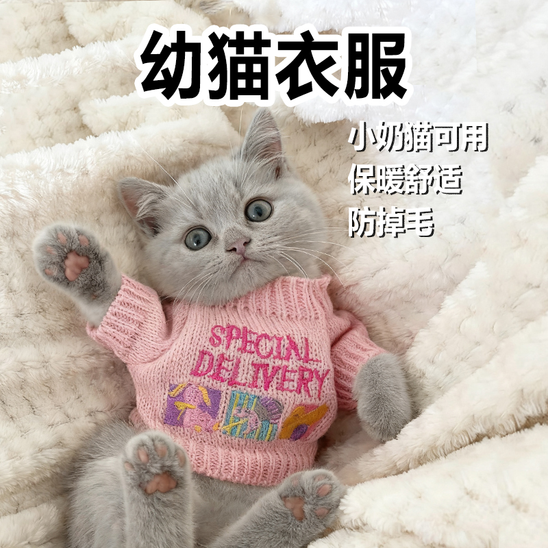 幼猫衣服特小超小一斤内秋冬天一个月小猫咪穿的保暖服饰宠物用品
